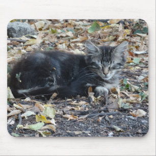 Gray Cat Mousepad