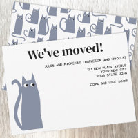 Gray Cat Moving New Zuhause