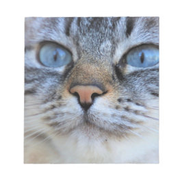 Gray Cat Notizblock