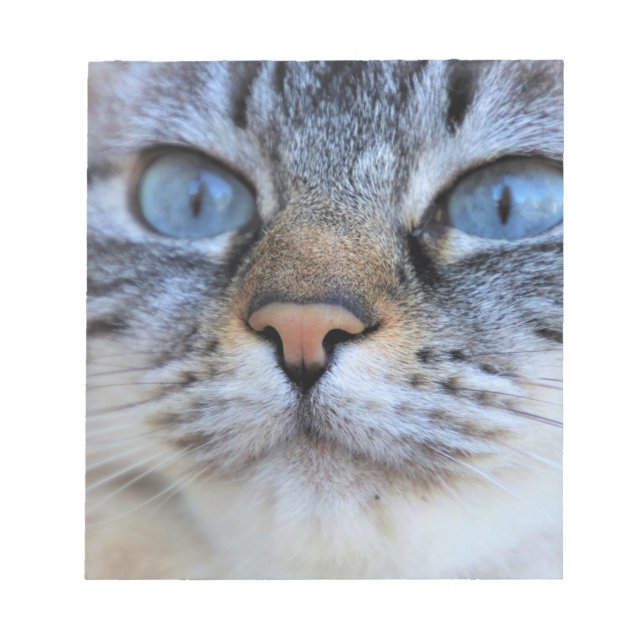 Gray Cat Notizblock (Vorderseite)