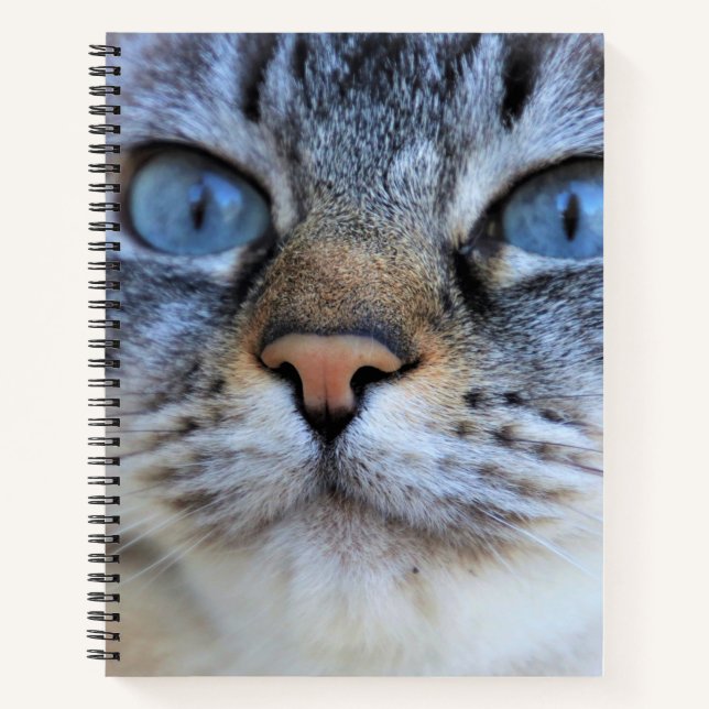 Gray Cat Notizbuch (Vorderseite)