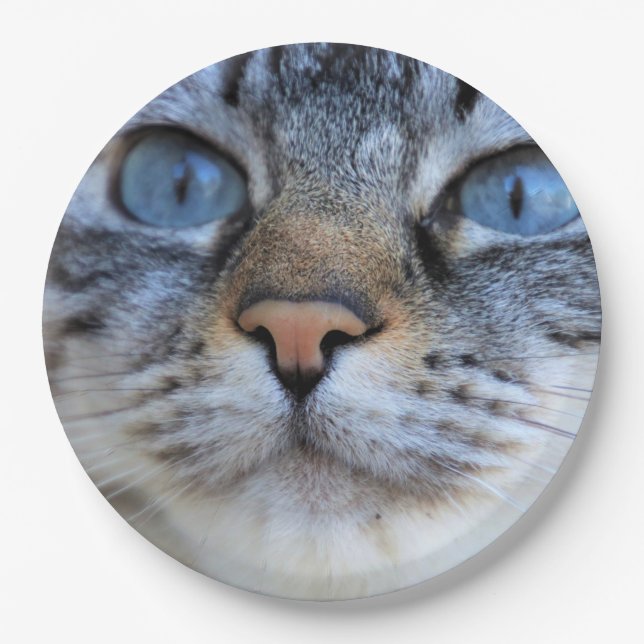 Gray Cat Pappteller (Vorderseite)