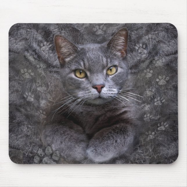 Gray Cat Portrait Mousepad (Vorne)