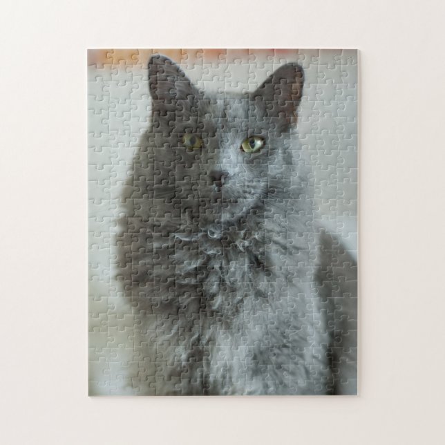 Gray Cat Puzzle (Vertikal)