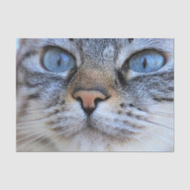 Gray Cat Seidenpapier