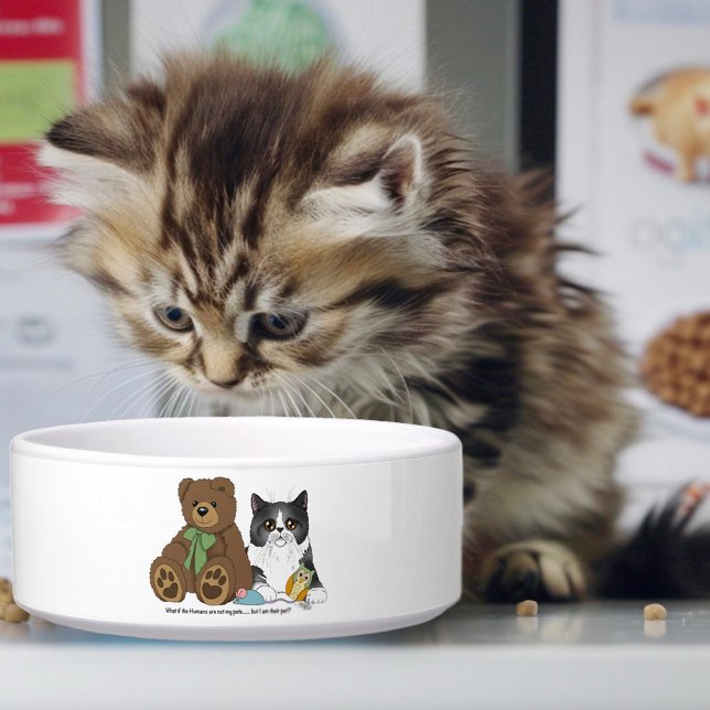 Gray Cat Teddyt Bear Peach Funny Napf (Von Creator hochgeladen)