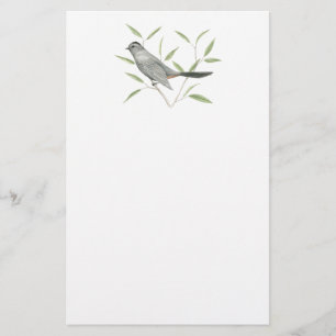Gray Catbird Bird Art Stationierung Briefpapier