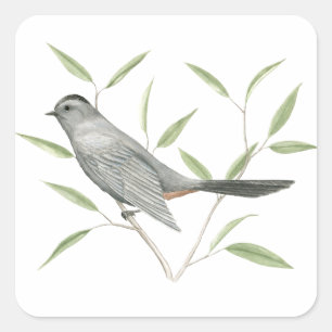 Gray Catbird Bird Art Sticker