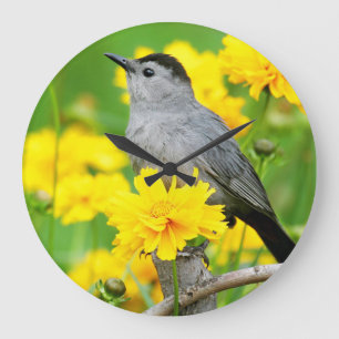 Gray Catbird on wooden fence Große Wanduhr