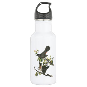 Gray Catbird von Audubon Edelstahlflasche
