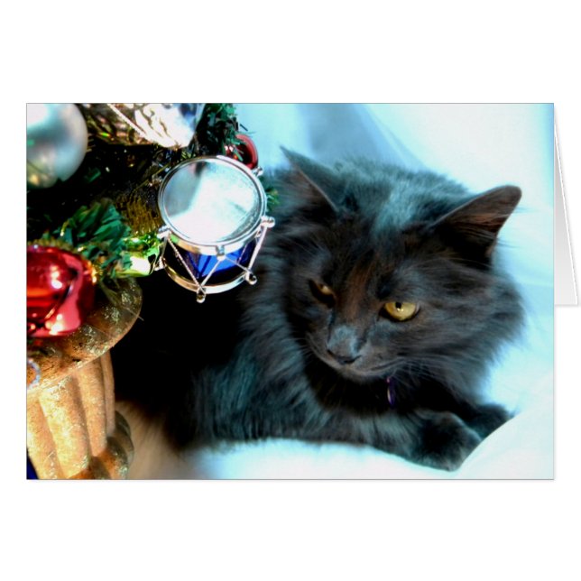 Gray Christmas Kitty II (Vorderseite (Horizontal))