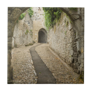 Gray Cobblestone Street, Frankreich Fliese