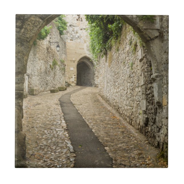 Gray Cobblestone Street, Frankreich Fliese (Vorderseite)