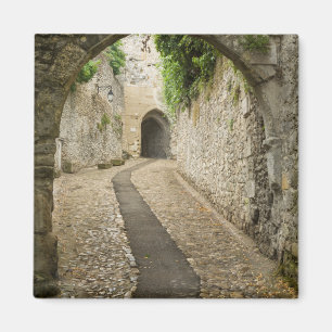 Gray Cobblestone Street, Frankreich Magnet