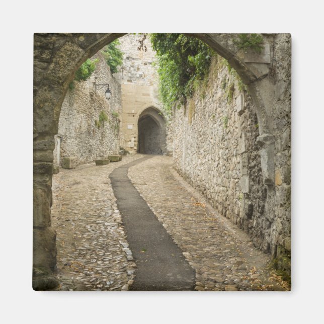 Gray Cobblestone Street, Frankreich Magnet (Vorne)