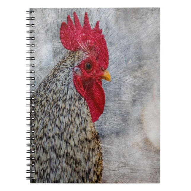 Gray Country Rooster Notizblock (Vorderseite)