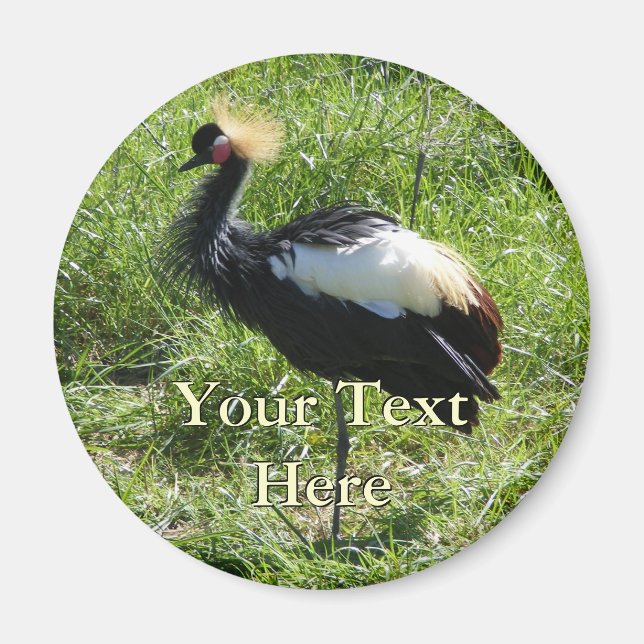 Gray Crowned Crane Magnet (Vorne)