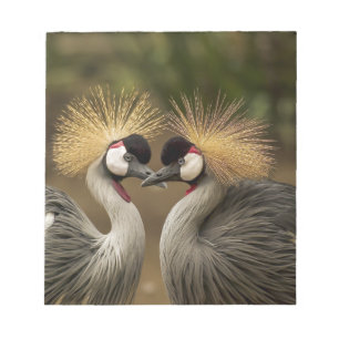 Gray Crowned Crane Notizblock