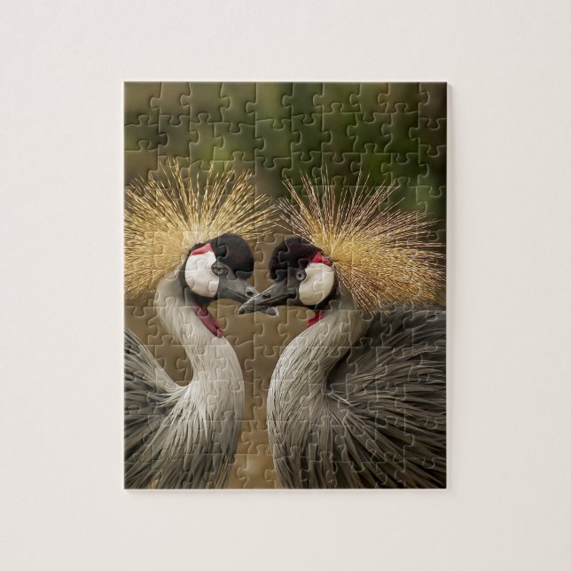 Gray Crowned Crane Puzzle (Vertikal)
