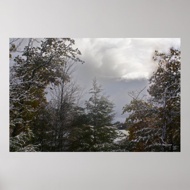 Gray Day Beauty Poster (Vorne)