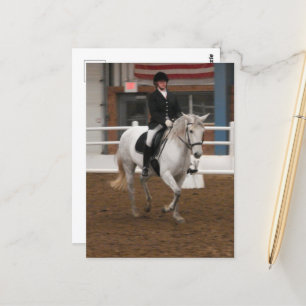 Gray Dressage Horse Postkarte