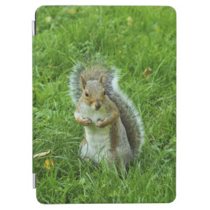 Gray Eichhörnchen, Bute Park, Cardiff iPad Mini Co iPad Air Hülle