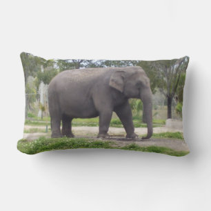 Gray Elephant Lendenkissen