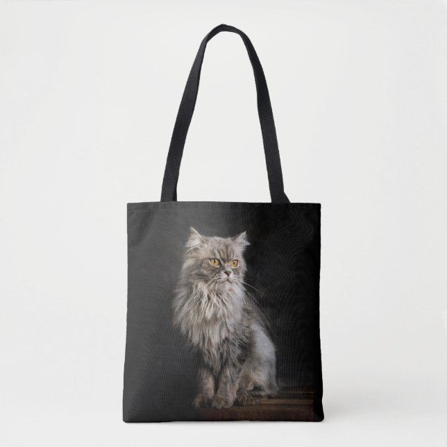 Gray Fluffy Cat (Vorderseite)