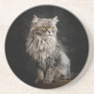 Gray Fluffy Cat Getränkeuntersetzer