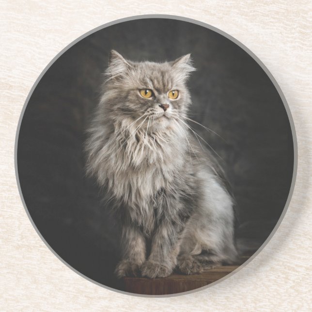 Gray Fluffy Cat Getränkeuntersetzer (Vorne)