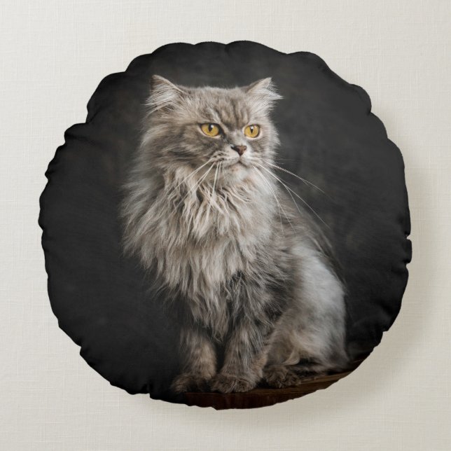 Gray Fluffy Cat Rundes Kissen (Vorderseite)
