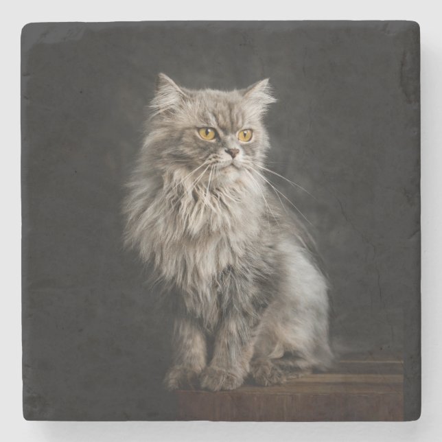 Gray Fluffy Cat Steinuntersetzer (Vorderseite)