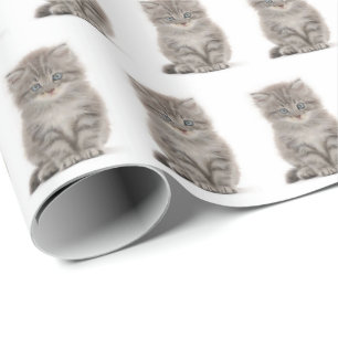 Gray Fluffy Kitten auf Weiß Geschenkpapier