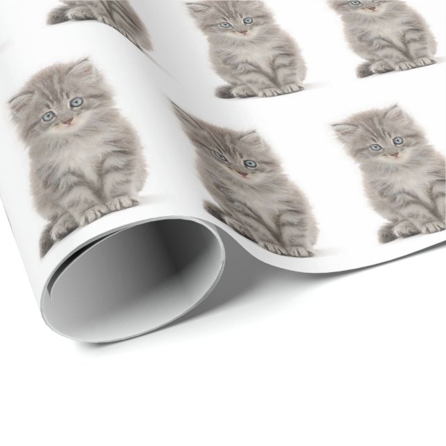 Gray Fluffy Kitten auf Weiß Geschenkpapier (Rolleneckpunkt)