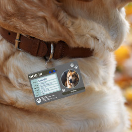 Gray Green Modern Dog ID Tag: Einfach und stilvoll Ausweis