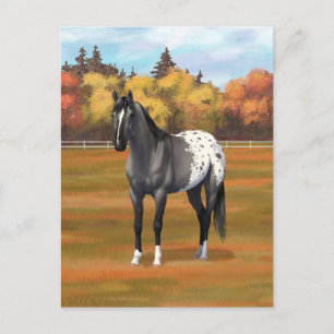 Gray Grulla Appaloosa Grullo Quarter Horse Stallio Postkarte
