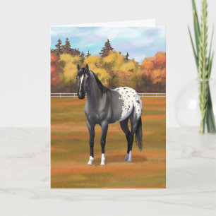 Gray Grulla Appaloosa Quarter Pferdehengst Karte