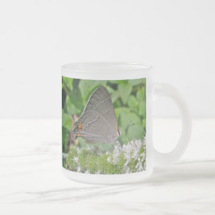 Gray Hairstreak Butterfly Mattglastasse