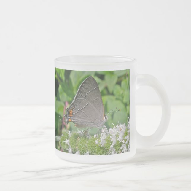 Gray Hairstreak Butterfly Mattglastasse (Rechts)
