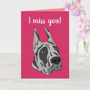 Gray Harlequin Great Dane Vermisst Karte