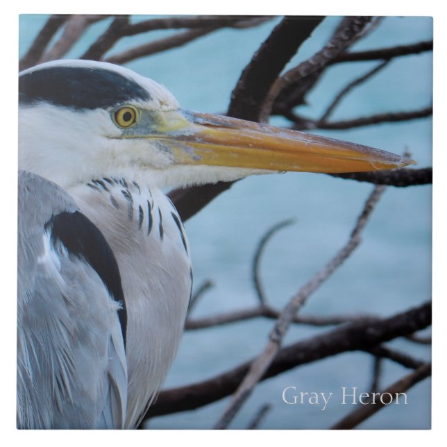 Gray Heron Fliese (Vorderseite)
