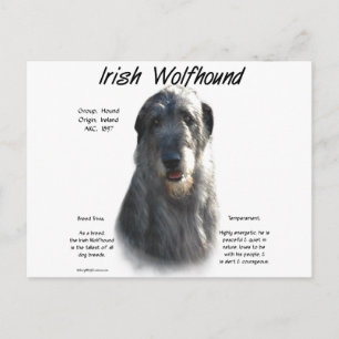 Gray Irish Wolfhound History Postkarte