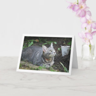 Gray Kitten and Garden Lamp Karte