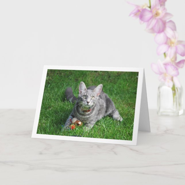 Gray Kitten auf Rasen mit Toy Karte (Orchidee)