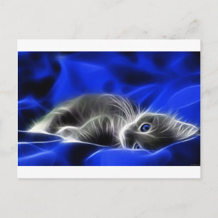 Gray Kitten Awakes Postkarte