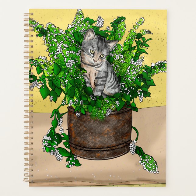Gray Kitten in Eimer Catnip Planer (Vorderseite)