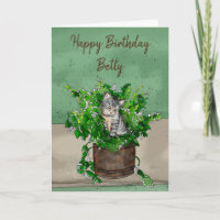Gray Kitten sitzt in einem Topf Catnip Geburtstag