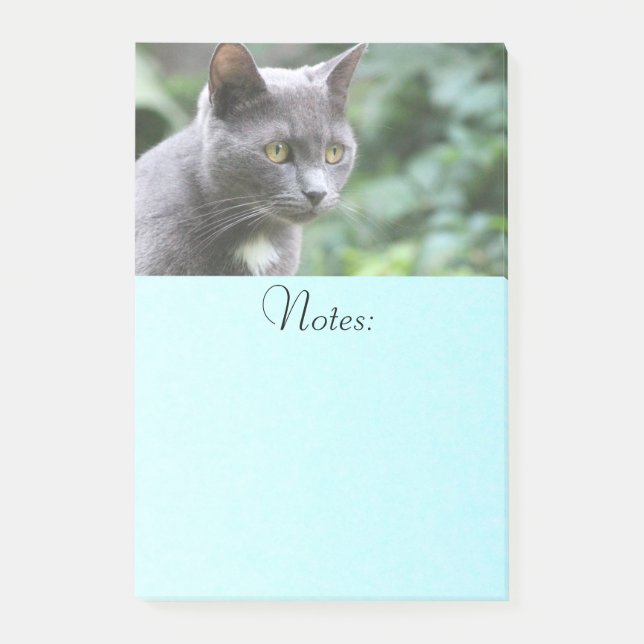Gray Kitty Cat Post-it Klebezettel (Vorderseite)