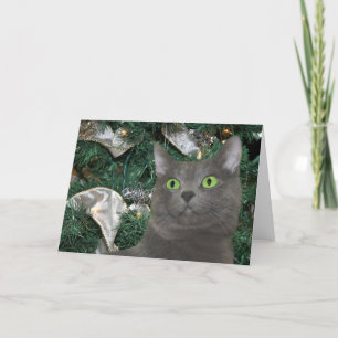 Gray kitty Christmas Feiertagskarte