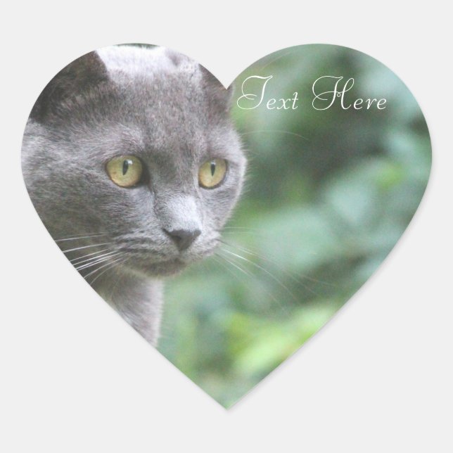 Gray Kitty Heart Sticker (Vorderseite)